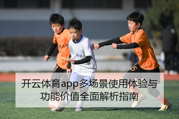 开云体育app多场景使用体验与功能价值全面解析指南
