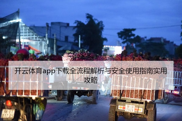 开云体育app下载全流程解析与安全使用指南实用攻略