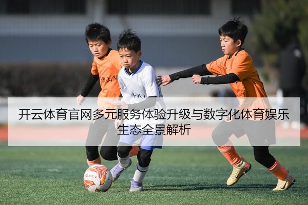 开云体育官网多元服务体验升级与数字化体育娱乐生态全景解析